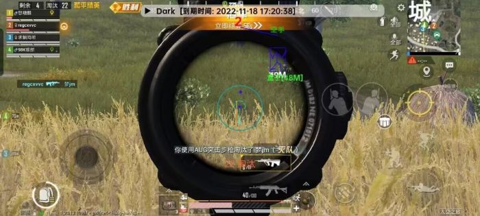 和平精英辅助瞄准是真的吗（和平精英辅助是真的吗）